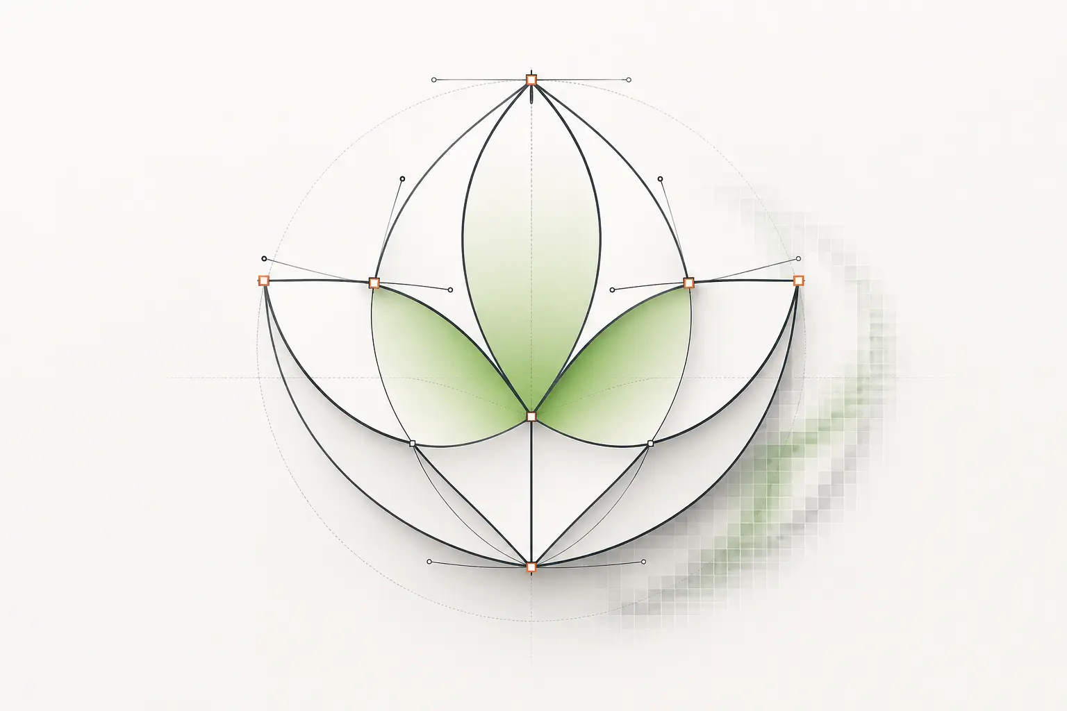Vector graphics paths and shapes illustration