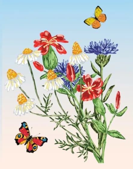 Ramalhete de flores silvestres pintado à mão, com margaridas, centáureas e duas borboletas