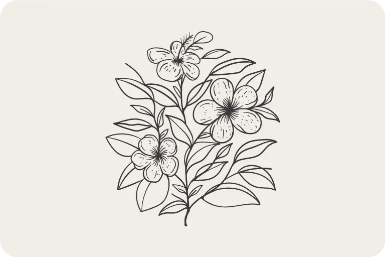 Floral Line Drawing Vector