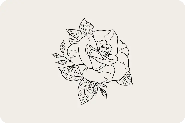 Rose Line Drawing Vector